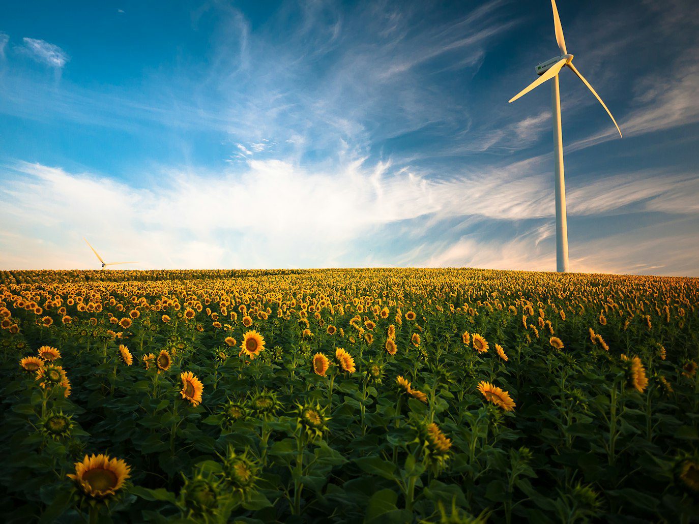 Greenwashing Checklist For Product Packaging Claims