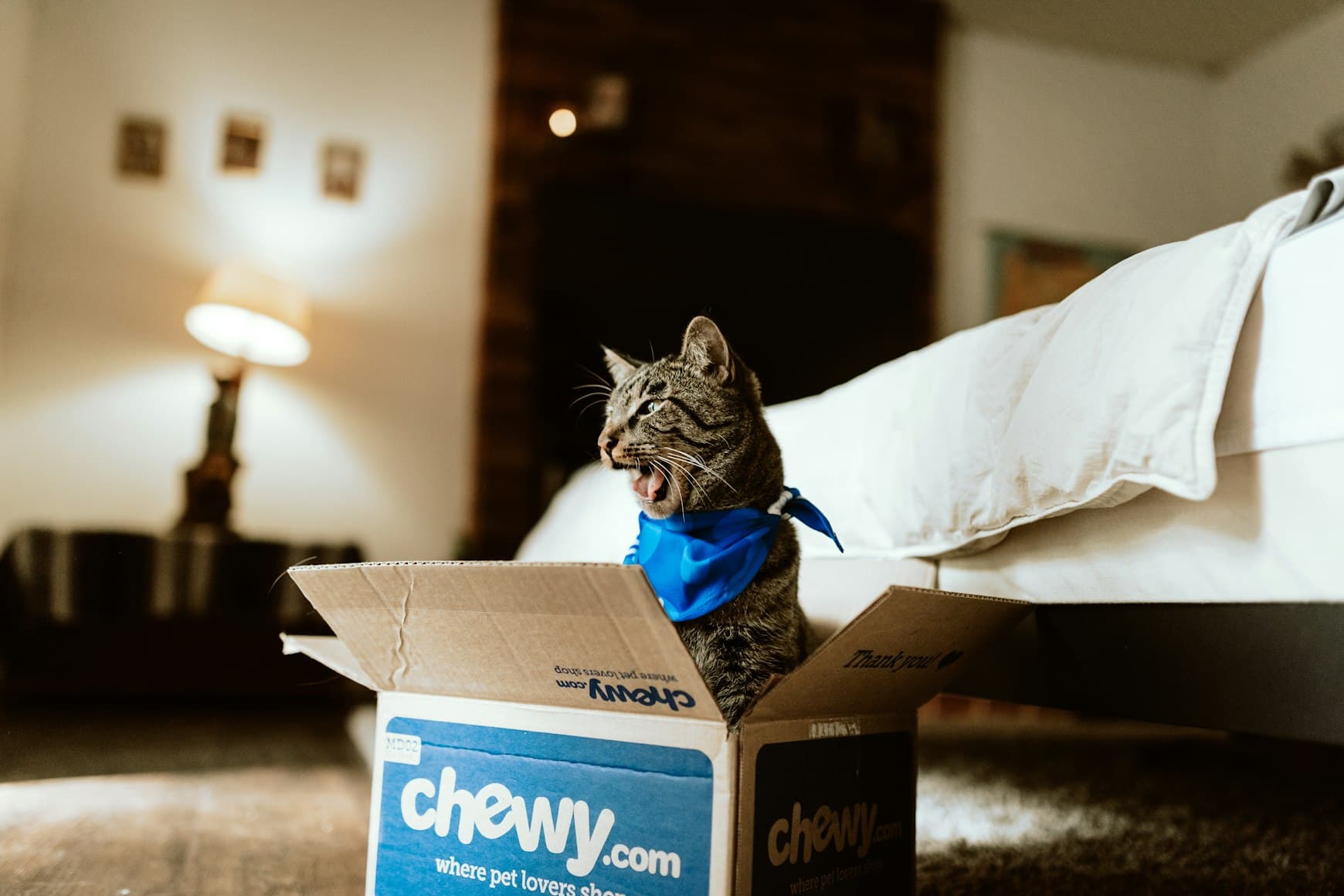 Australia’s New Subscription Laws: What Businesses Need To Change Before July 2027